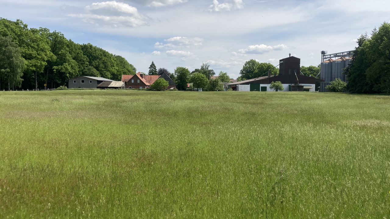  Diese Aufnahme zeigt eine ländliche Umgebung mit einer großen, grünen Wiese und einigen alten Gebäuden und Lagerhallen am Horizont. Es ist eine idyllische Landschaft, die den Kontrast zwischen Natur und Industrie in dieser Region widerspiegelt.